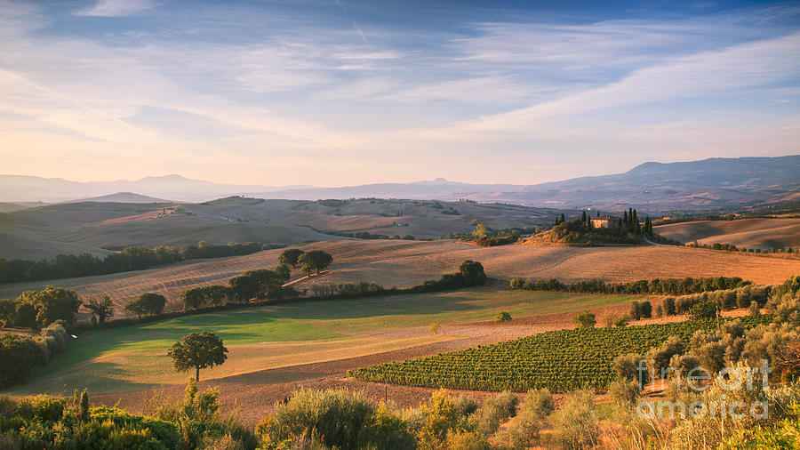 Tuscan landscape Photograph by Matteo Colombo