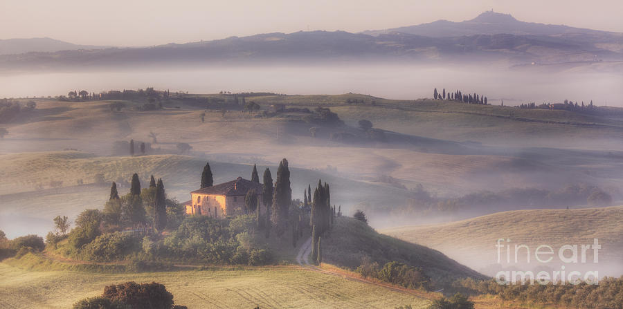 Tree Photograph - Tuscan Morning by Michele Steffey