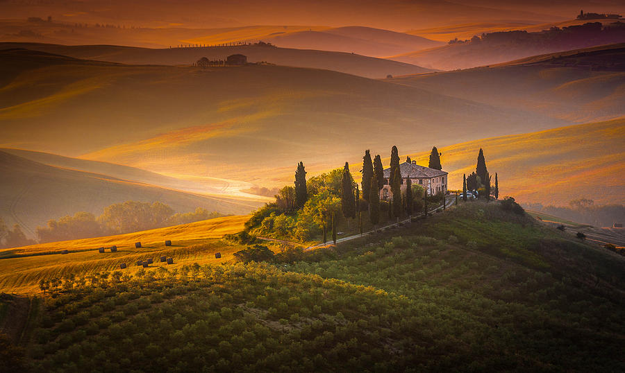 Tuscan morning Photograph by Stefano Termanini