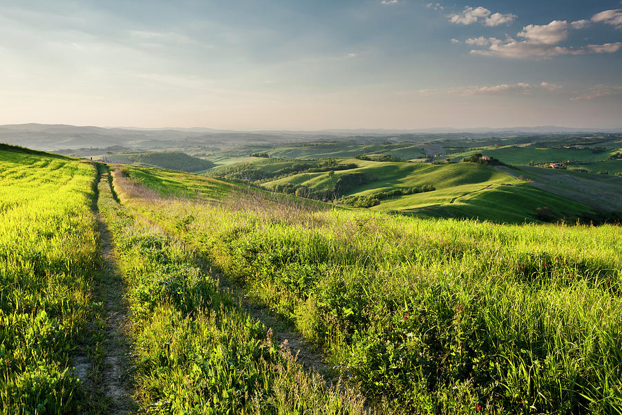 Tuscan Scenery by Jorg Greuel