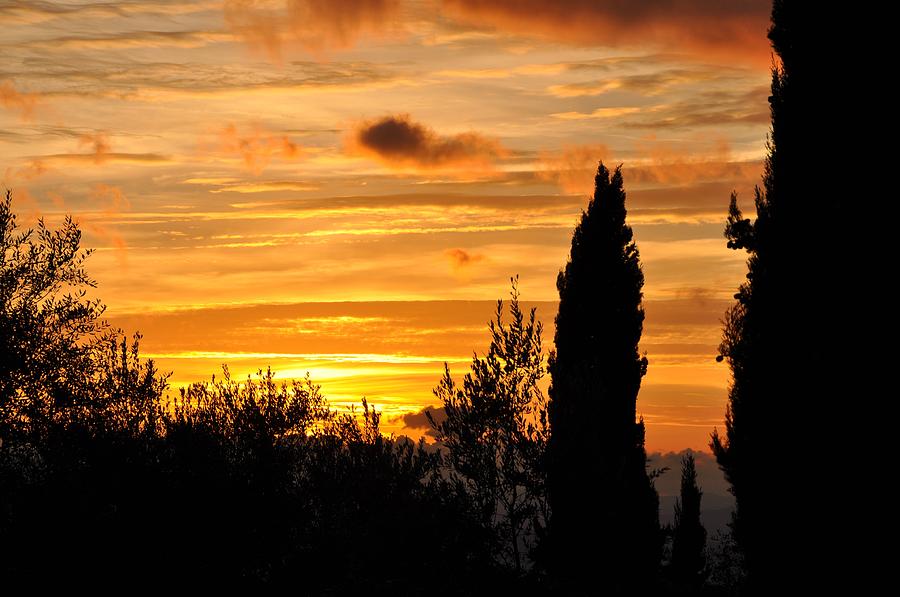 Tuscan Sunset Photograph by Leslie Lovell
