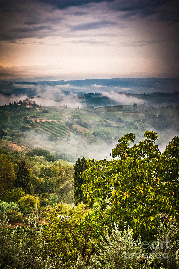 Tuscan view Photograph by Silvia Ganora