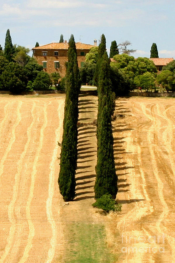 Tuscan Villa Photograph by Holly C. Freeman