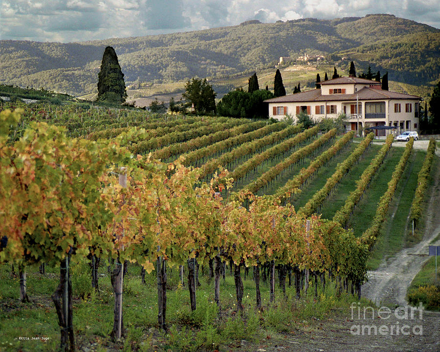 Tuscan Vineyard and Villa Photograph by Etta Jean Juge