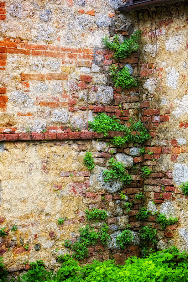 Tuscan Wall Textures Photograph by Bob Coates