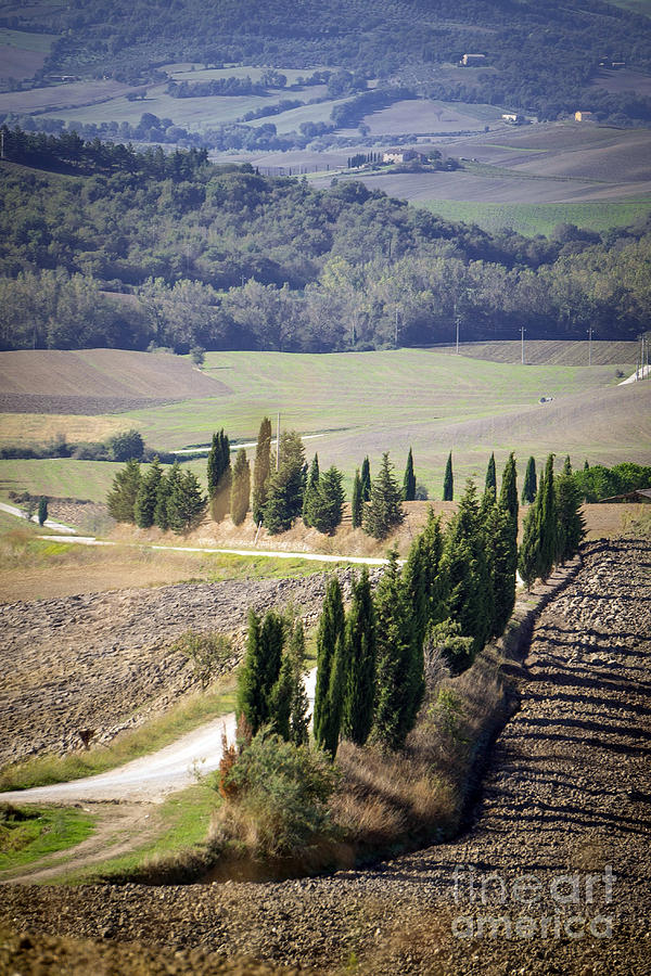 Tuscany 2 Photograph by Milena Boeva