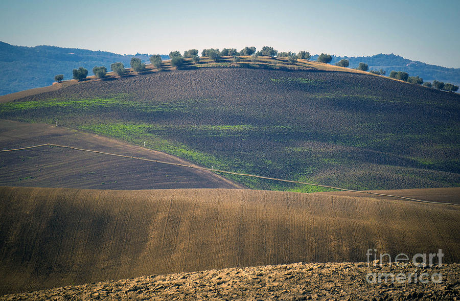 Tuscany Fall Photograph by Milena Boeva