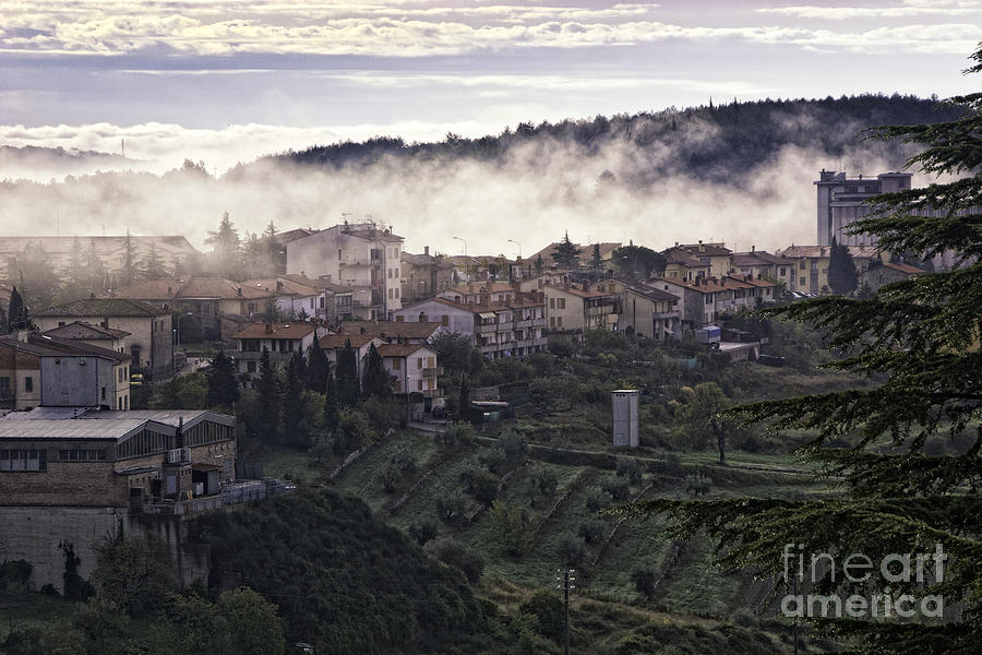 Tuscany Fog Photograph by Timothy Hacker
