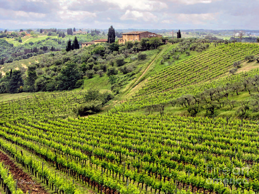 Tuscany-Italy Photograph by Jennie Breeze