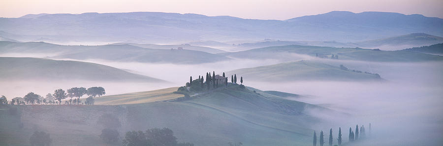 Tree Photograph - Tuscany, Italy by Panoramic Images