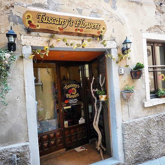 Flower Photograph - #tuscany #italy #tuscan #flowers #shop by Pamela Harridine