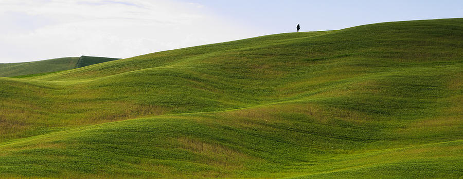 Tuscany landscape Photograph by Ivan Slosar
