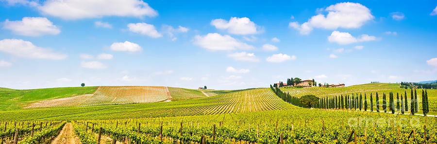 Tuscany Landscape Panorama Photograph