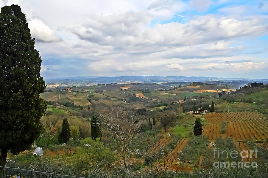 Tuscany Life Photograph by Elvis Vaughn