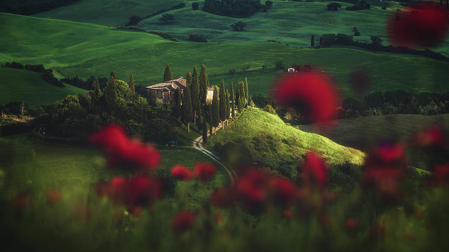 Tuscany - Spring Blossoms Photograph by Jean Claude Castor