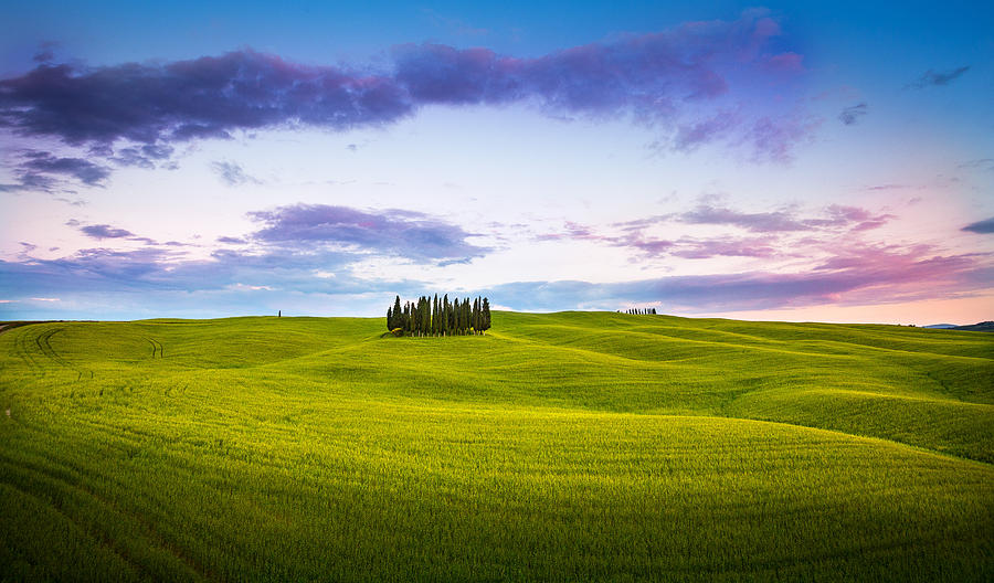 Tuscany Photograph by Stefano Termanini