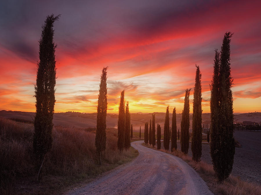 Tuscany Sunset Photograph by Rostovskiy Anton