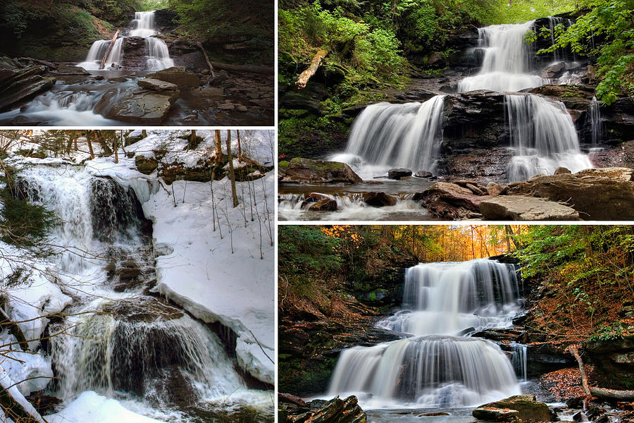 Tuscarora Falls In Every Season Photograph by Gene Walls