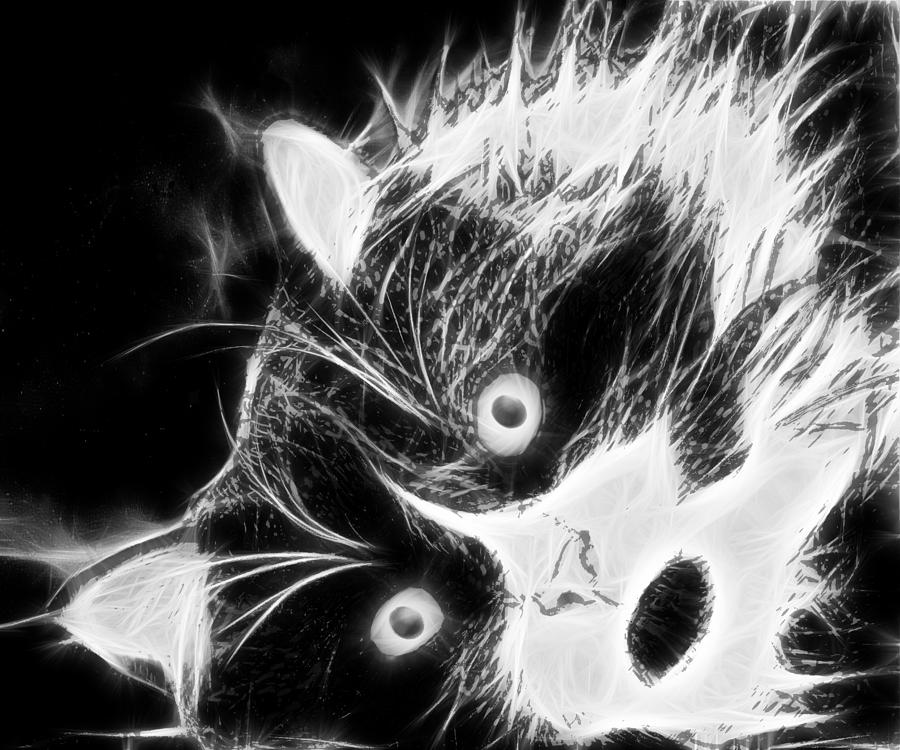 Tuxedo Cat in Black and White Digital Art by Marlene Watson