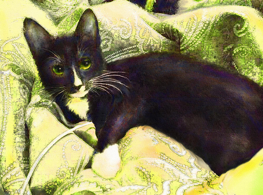 Tuxedo Cat Digital Art by Jane Schnetlage