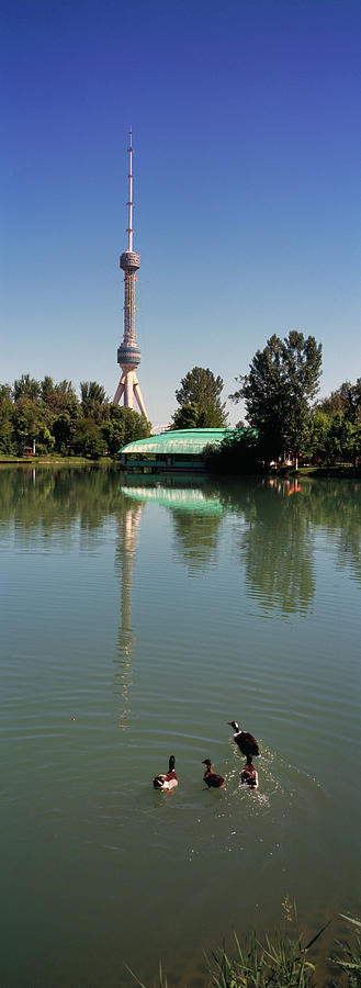 Architecture Photograph - Tv Tower At The Lakeside, Tashkent Tv by Animal Images
