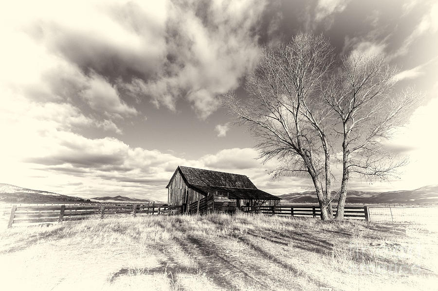 Twaddle Ranch Barn BW Photograph by Dianne Phelps