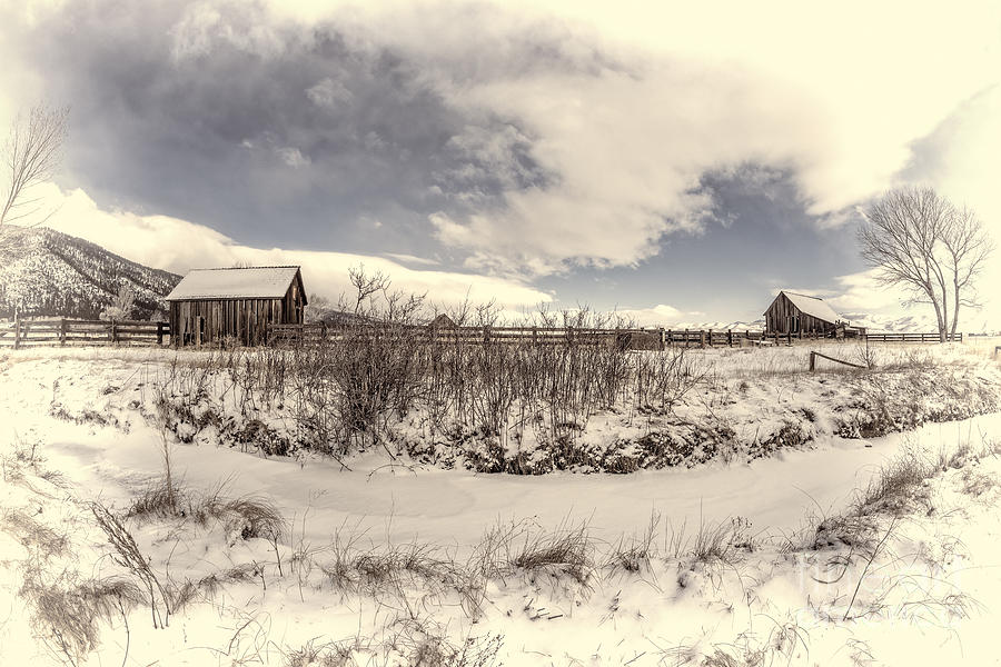 Twaddle Ranch Winter Photograph