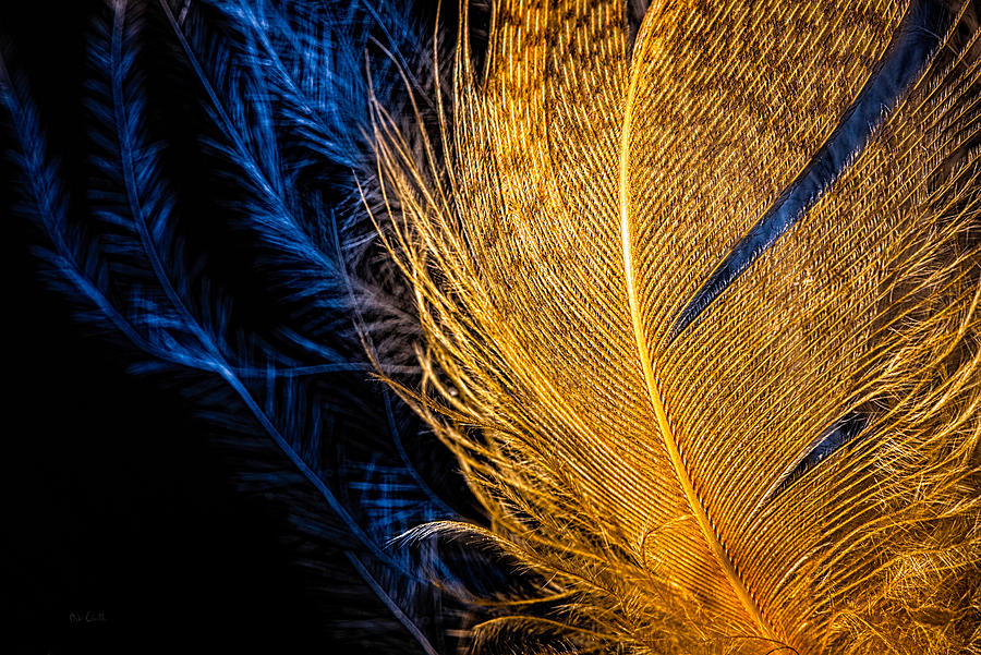 Abstract Photograph - Tweety Bird by Bob Orsillo