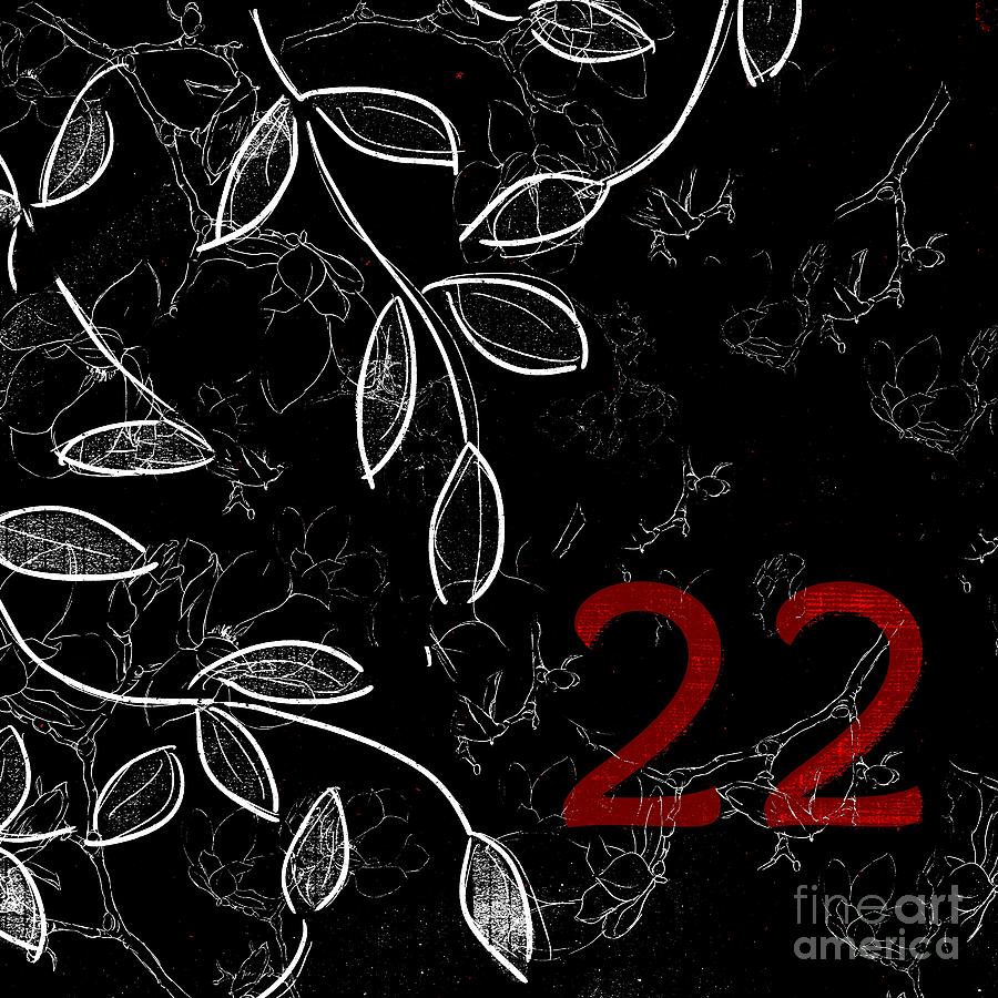 Pattern Digital Art - Twenty-two - bwr01 by Variance Collections