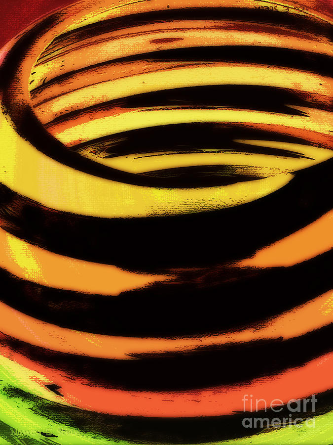 Abstract Photograph - Twiddled  by Nancy Stein