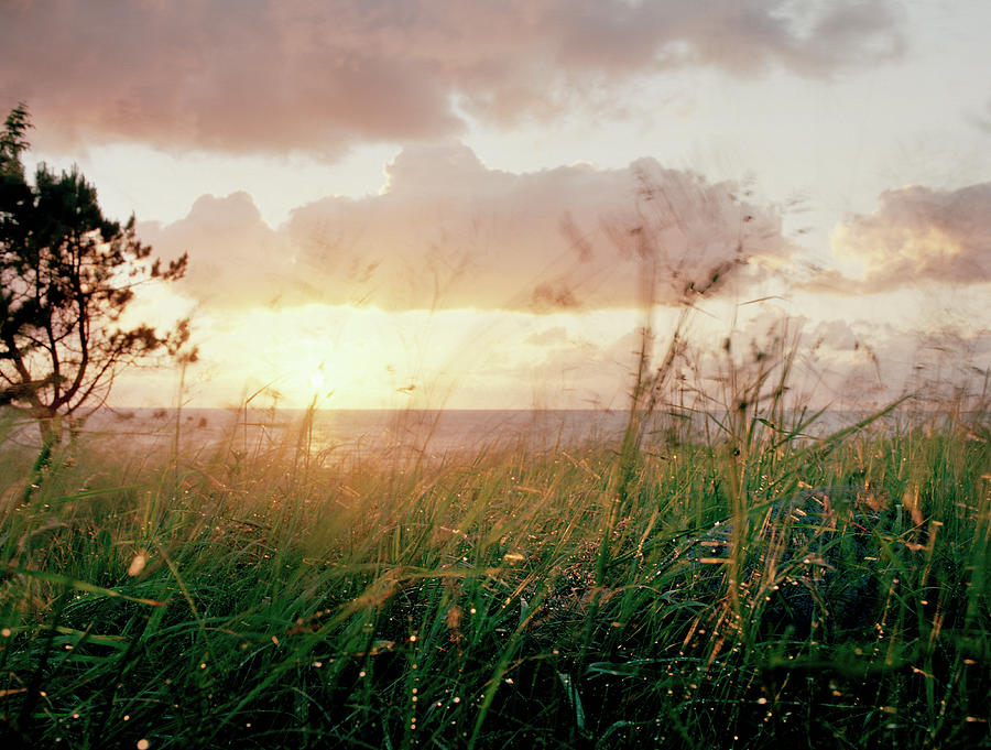 Twilight After Rain Photograph by Muriel De Seze Twilight After Rain Photograph by Muriel De Seze