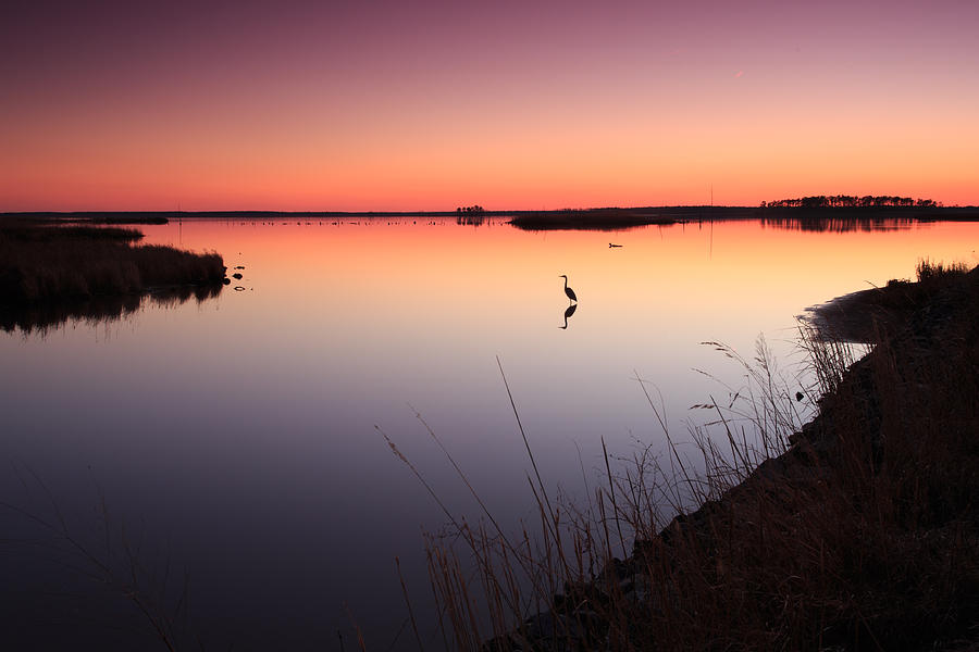 Sunset Photograph - Twilight at Blackwater WLR by Jennifer Casey