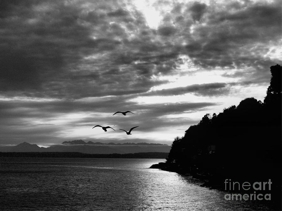 Twilight at Elliot Bay  Photograph by Scott Cameron