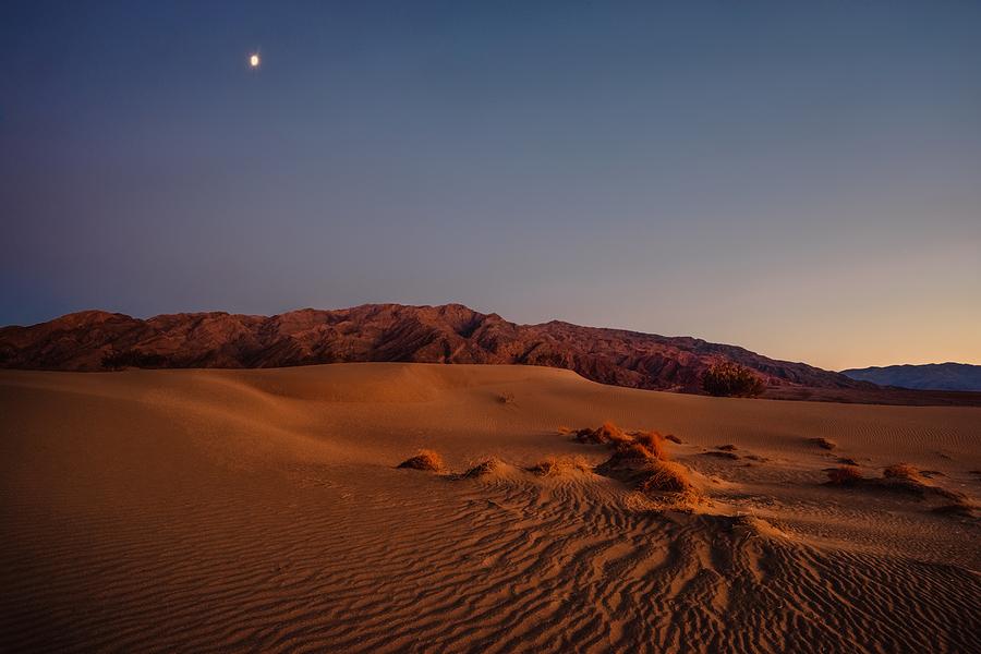 Twilight at the Dunes  Photograph by Gene Garnace