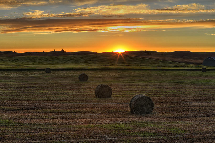 Twilight Bales Photograph by Mark Kiver