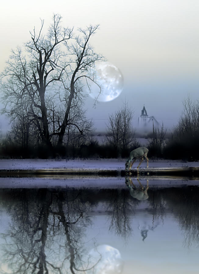 Twilight Deer Digital Art by Mary Almond