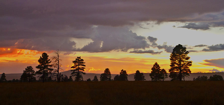 Twilight in Flagstaff #2 Photograph by Tom Kelly