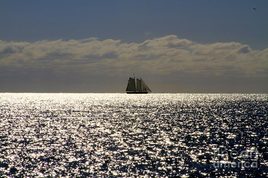 Twilight Sailing Photograph by Sean Conklin