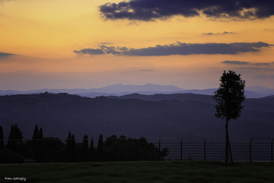 Twilight in Montalcino Photograph by Fran Gallogly