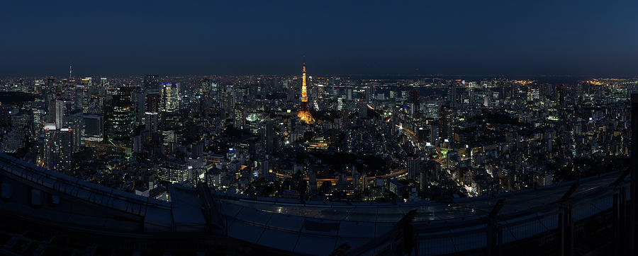 Twilight In Tokyo Photograph by Alexey Kopytko
