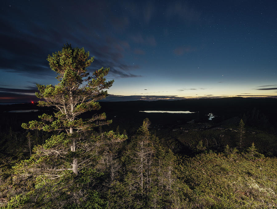 Twilight Landscape Photograph by Shaunl