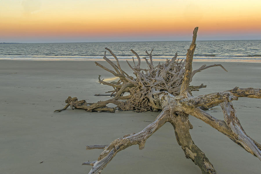 Twilight On Driftwood Beach Photograph by Willie Harper