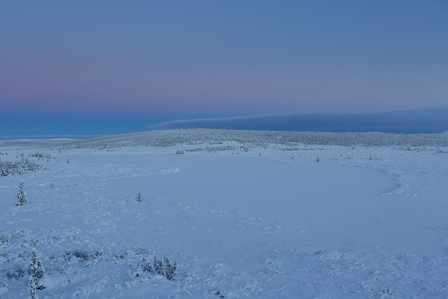 Twilight On The Tundra Photograph by Tim Grams - Pixels