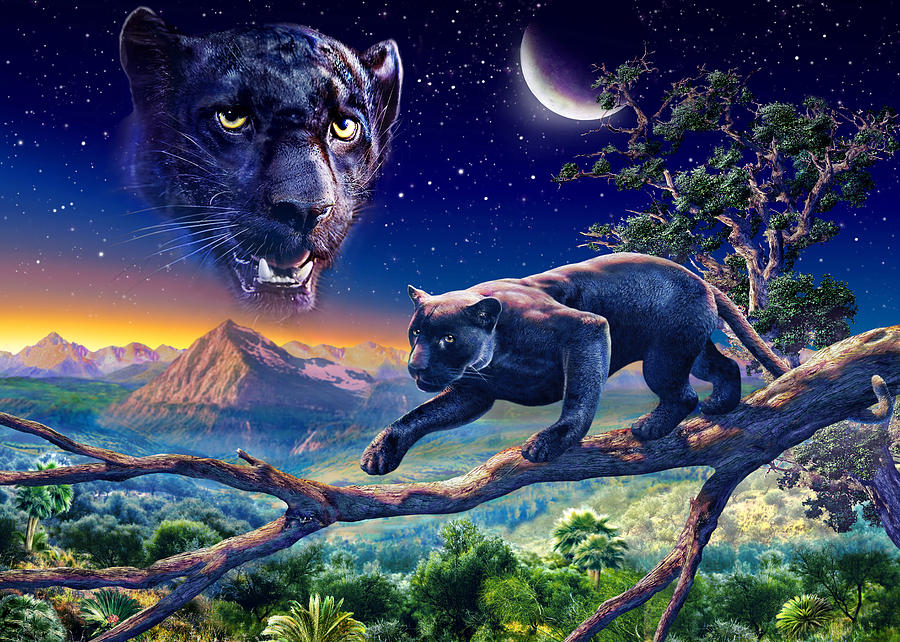Animal Photograph - Twilight Panther by MGL Meiklejohn Graphics Licensing