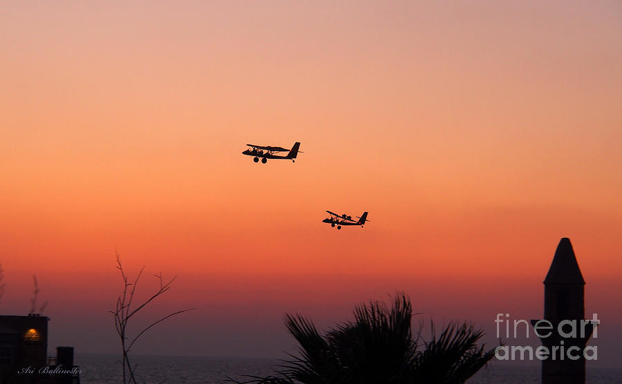 Twilight romantic flights Photograph by Arik Baltinester
