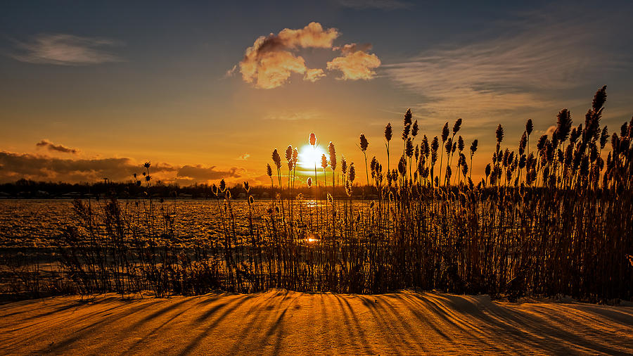 Twilight Winter Reeds along the Niagara Photograph by Chris Bordeleau