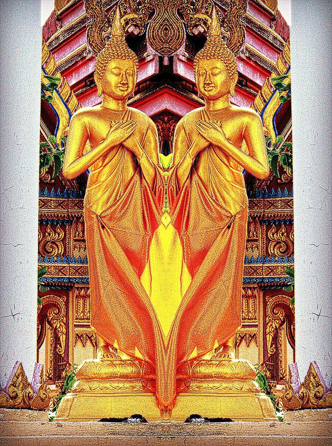 Buddha Photograph - Twin Buddhas by Ian Gledhill