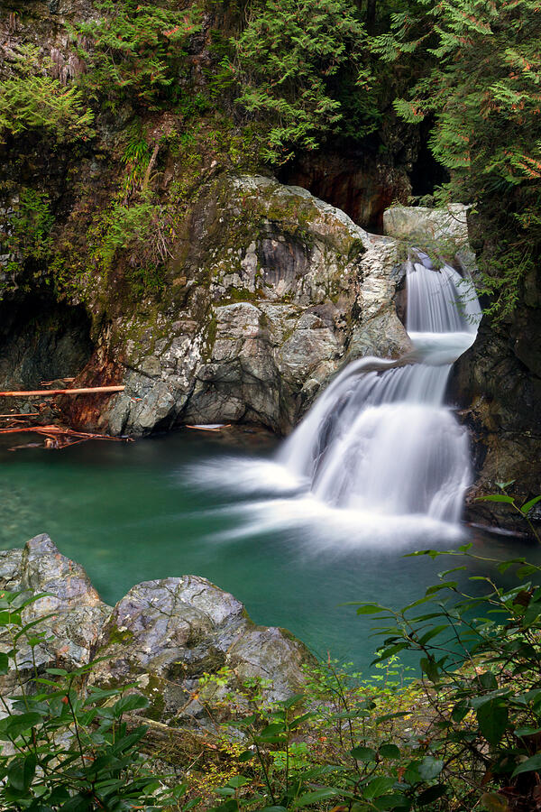 Twin Falls at Lynn Canyon Park Photograph by Michael Russell
