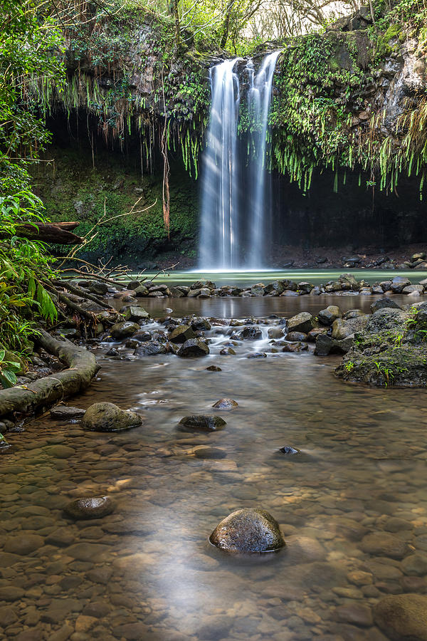 Jungle Photograph - Twin Falls by Pierre Leclerc Photography