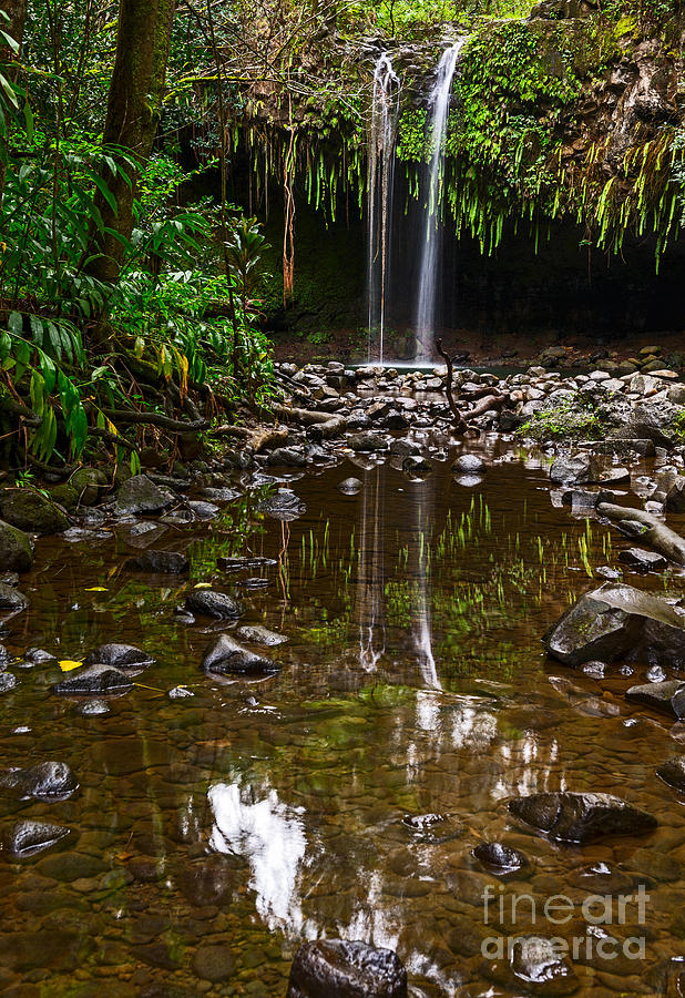 Jungle Photograph - Twin Falls Reflection - the magical falls along the Road to Hana in Maui. by Jamie Pham
